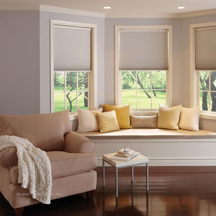 Lutron Honeycomb Blinds