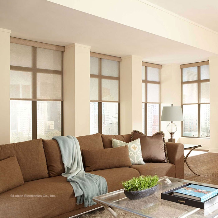 Lutron Roller Blinds