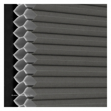 Carbon